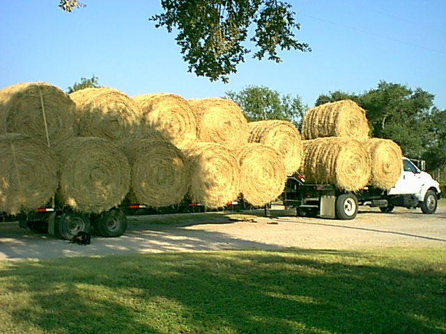 Load of Hay